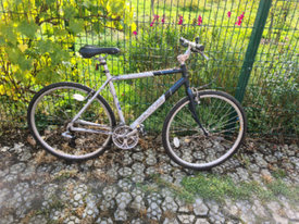 ridgeback panorama tandem